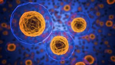 Is Europe Facing a Superbug Crisis?