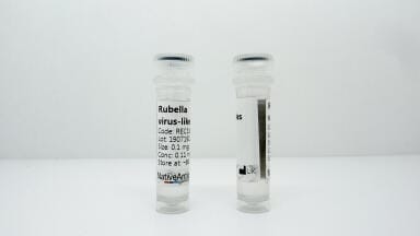 New Rubella Virus-Like Particles Released
