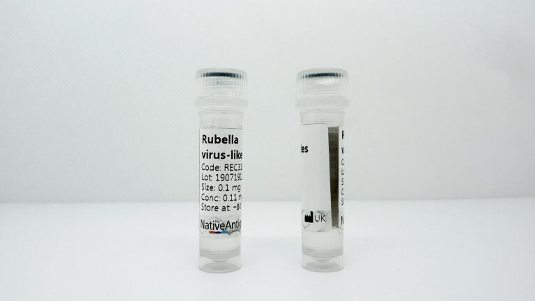 New Rubella Virus-Like Particles Released