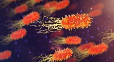 Can Gut Bacteria Slow Motor Neurone Disease?