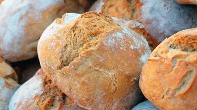 Why Does Gluten Intolerance Happen So Quickly?