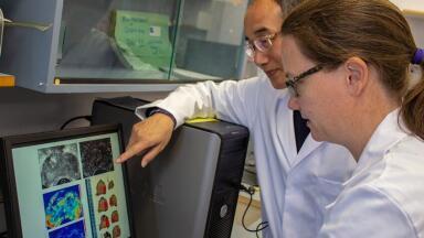 Breakthrough Ultrasound Methods point to Earlier Diagnosis