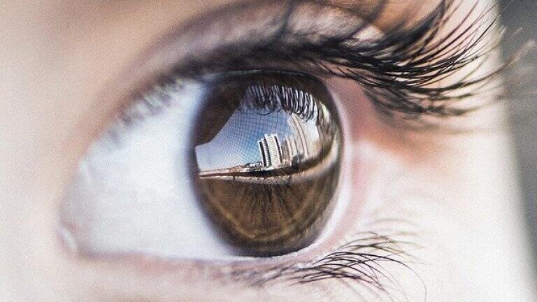 How Does Vision Work?