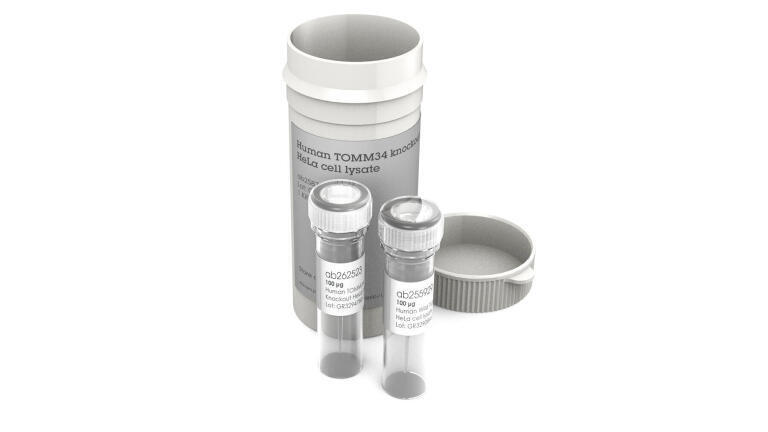 Abcam Human TOMM34 KO HeLa Cell Lysate x2.