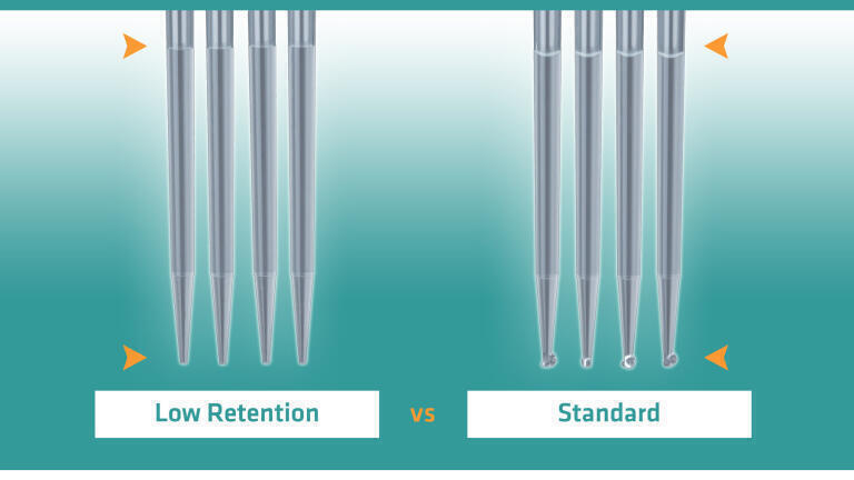 Pipetting Solutions for Reproducibly Improving Magnetic Bead DNA Clean-up 