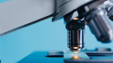 Science in the 2010s: Medicine