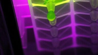 High Performance Filtration Microplates