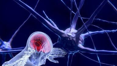 Science in the 2010s: Neuroscience