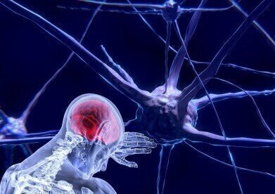 Science in the 2010s: Neuroscience