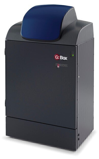 Next-Generation Image Capture Software Saves Time and Improves the Appearance of Chemi Blot Images