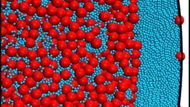 DFG Funds Research on Self-Organisation of Soft Matter