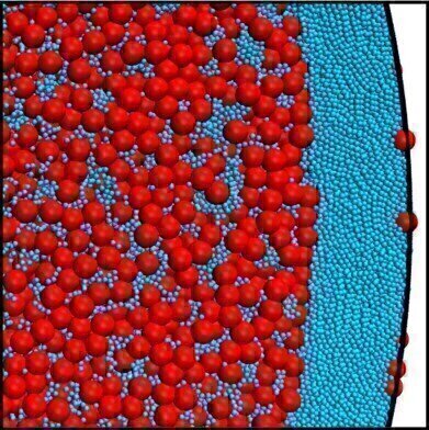 DFG Funds Research on Self-Organisation of Soft Matter
