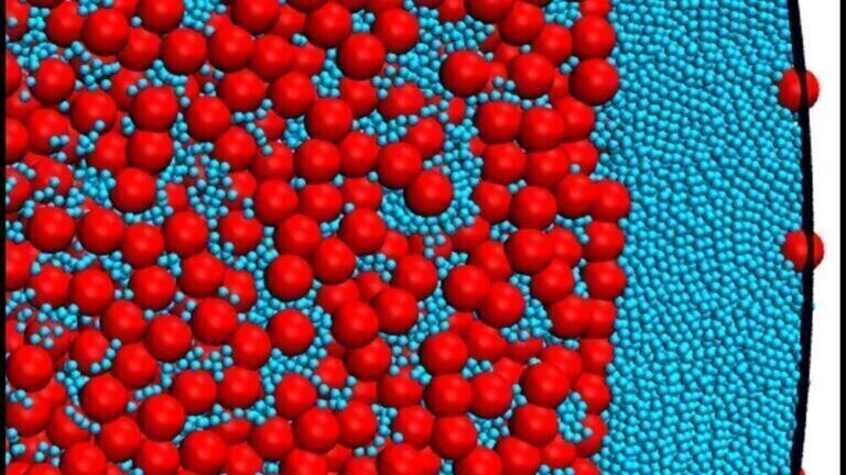 DFG Funds Research on Self-Organisation of Soft Matter