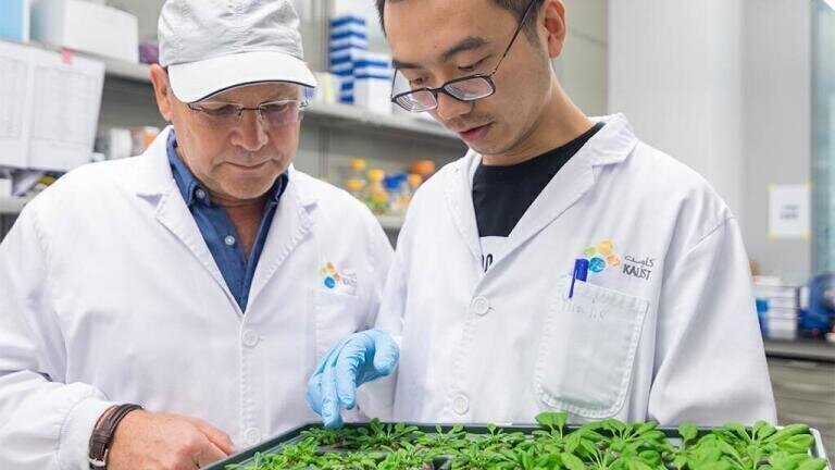 Discovery Could Lead to more Pest-Resistant Crops.