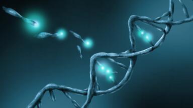 Efficient Isolation of Circulating Cell Free DNA