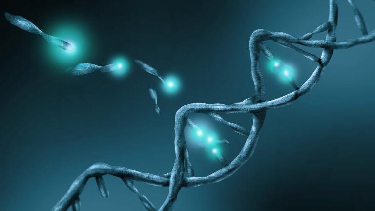 Efficient Isolation of Circulating Cell Free DNA