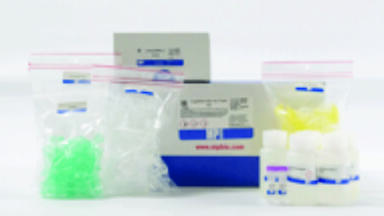 New FastRNATM Win Kit for Plants