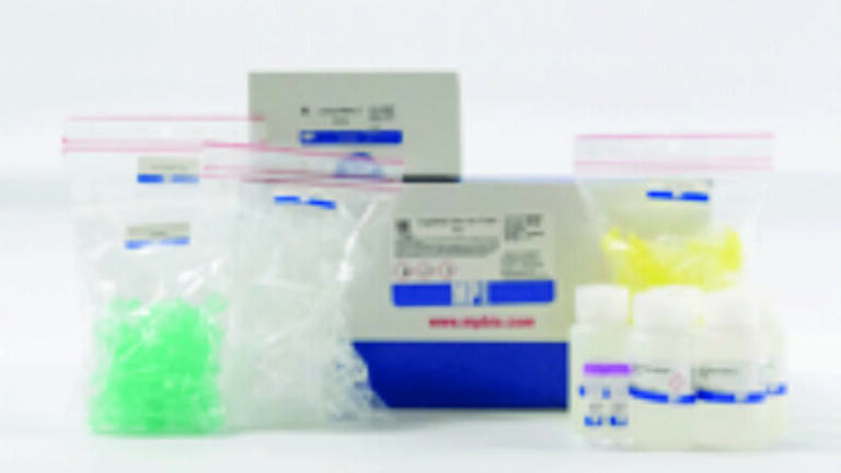 New FastRNATM Win Kit for Plants