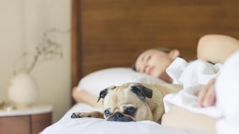 Is There Any Science Behind Beauty Sleep?