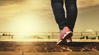 Can Sestrin Replace Exercise?