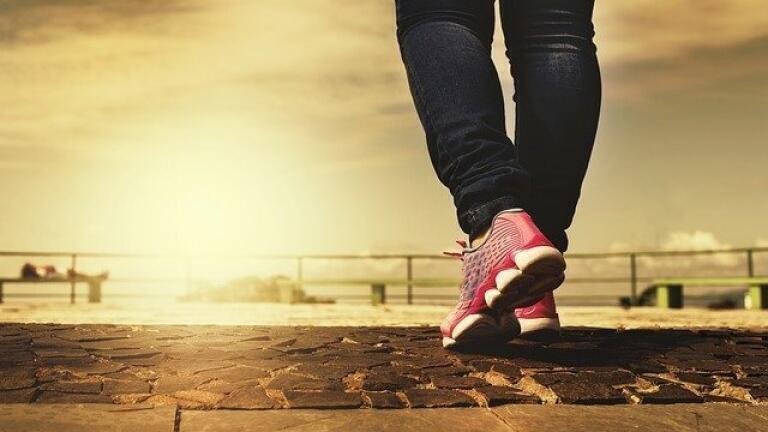 Can Sestrin Replace Exercise?