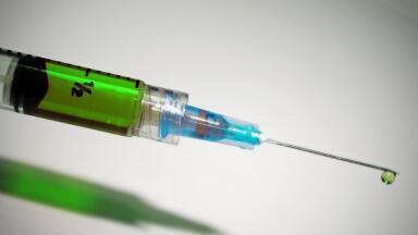 Could Whooping Cough Become a Superbug?