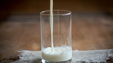 How High-Fat Milk Makes You Age Faster