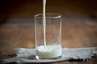How High-Fat Milk Makes You Age Faster