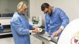 Imaging System to Help Understanding of  Disease Progression