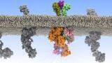 Scientists Uncover how changes in Communication Patterns can lead to Leukaemia