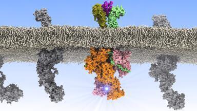 Scientists Uncover how changes in Communication Patterns can lead to Leukaemia