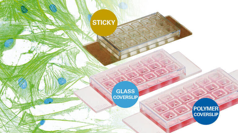 Innovative Technology for Cost-Effective Cell Culture and High-Resolution Microscopy
