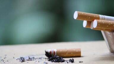 Is Smoking Decreasing in the UAE?