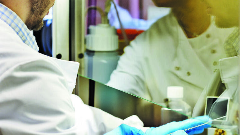 Lab Sustainability Promotion to Feature at British Science Week