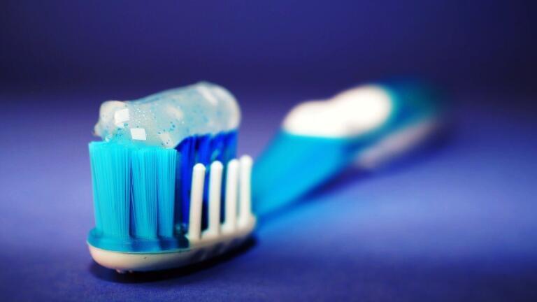 What Microbes Are in Your Mouth?