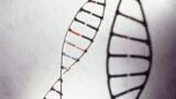 Synthetic sgRNAs to Streamline CRISPR Gene Editing Workflows Introduced
