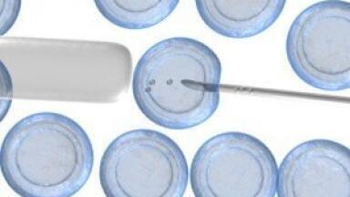 Generation of Muscle Cells in 3 Easy Steps