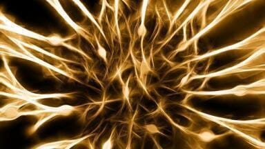 What is the Second Type of Schizophrenia?