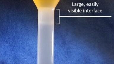 New Kit Enables Efficient Isolation of Highly Purified Peripheral Blood Mononuclear Cells
