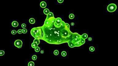 What Exactly is Bile?