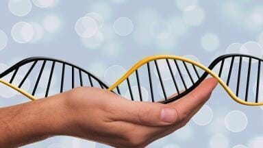 Spotlight on Base Editing - The New Type of CRISPR