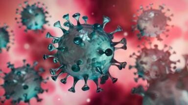 Coronavirus – COVID-19 Research Products Launched