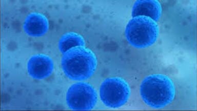 Centrifugal Field Flow Fractionation Improves Characterisation of Drug Delivery Systems