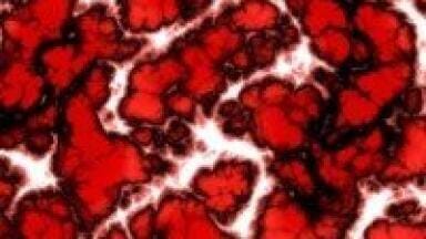 New High-Throughput Recombinant Antibody Production Service Launched