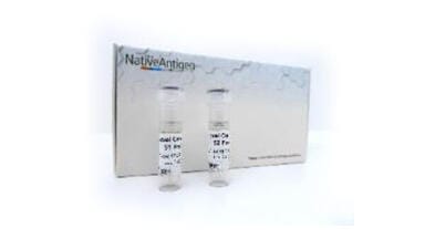 Novel Coronavirus Antigens Introduced
