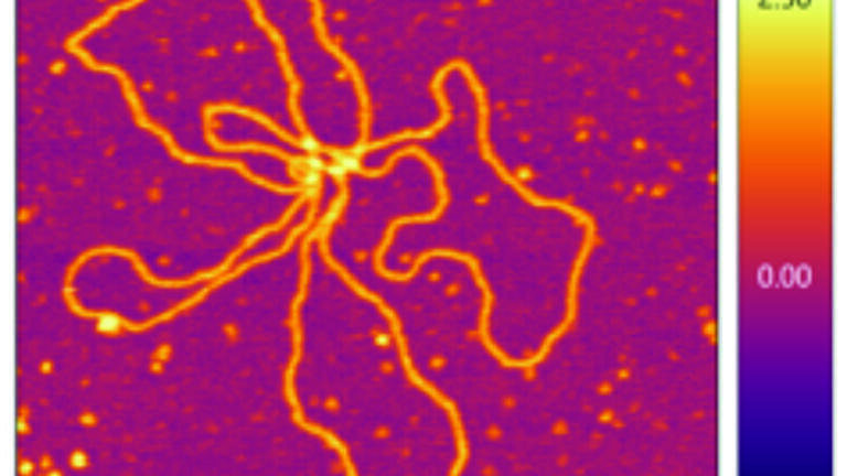 Nanoelectrical and Environmental Control Accessories for Large-Sample AFM Announced
