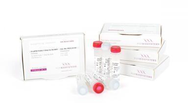 COVID-19 Test Reagents Scaled Up to Reach Global Demand