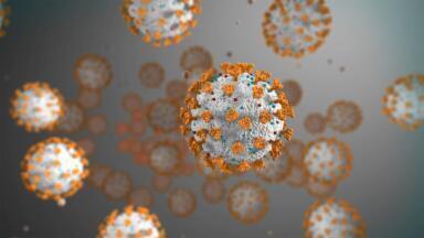 Test Kit for Coronavirus COVID-19 Released