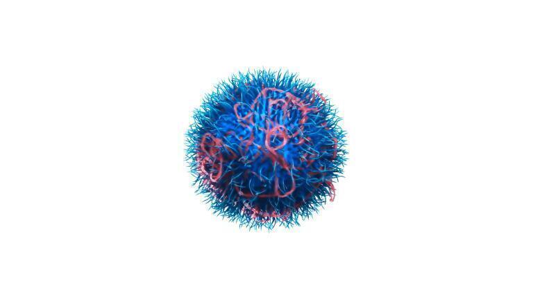 Research Into Potential COVID-19 Vaccine Delivery Systems Announced