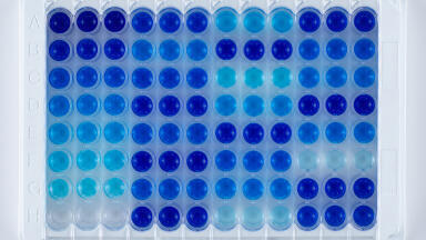 Improving ELISA workflows with INTEGRA’s pipetting solutions